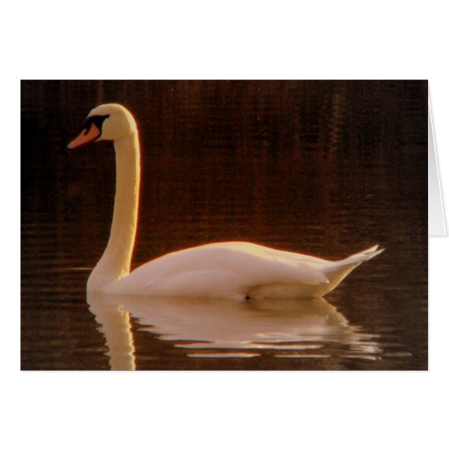 Gewoon een droom (Voorkant Horizontaal)