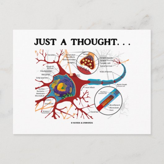 Gewoon een gedachte... (Neuron/Synapse) Briefkaart (Voorkant)