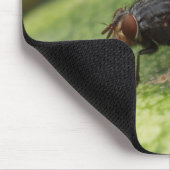 Gewoon een gek Afbeelding Muismat (Hoek)