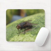 Gewoon een gek Afbeelding Muismat (Met muis)