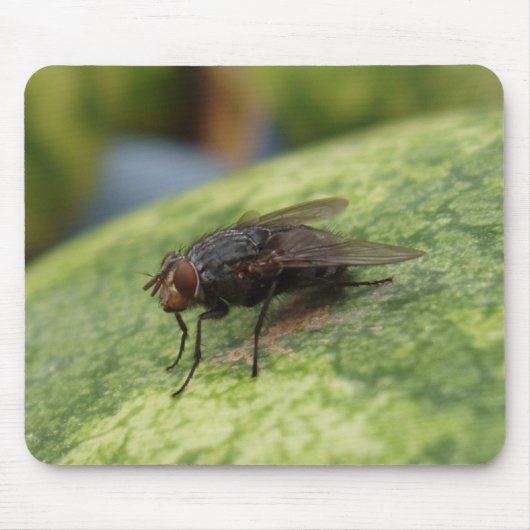 Gewoon een gek Afbeelding Muismat (Voorkant)