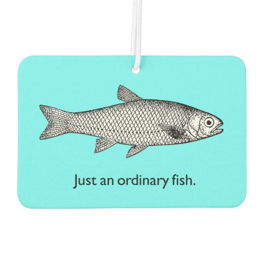 Gewoon een gewone visluchtverfrisser luchtverfrisser (Achterkant)