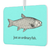 Gewoon een gewone visluchtverfrisser luchtverfrisser (Links)