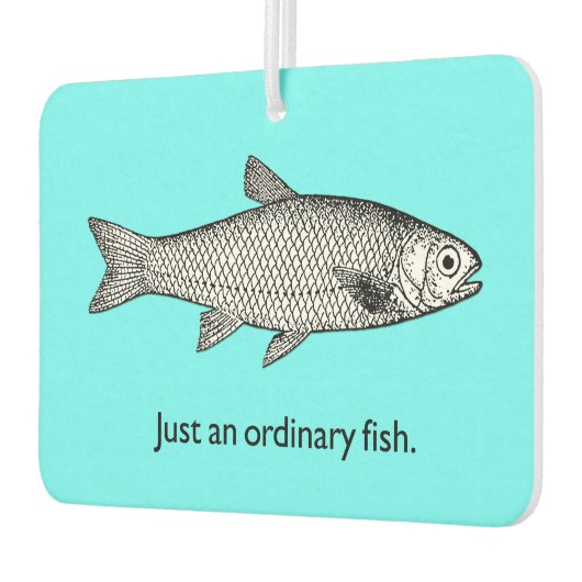 Gewoon een gewone visluchtverfrisser luchtverfrisser (Links)