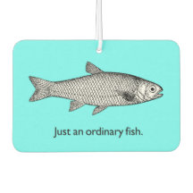 Gewoon een gewone visluchtverfrisser