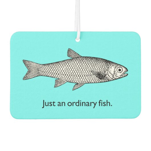 Gewoon een gewone visluchtverfrisser luchtverfrisser (Voorkant)