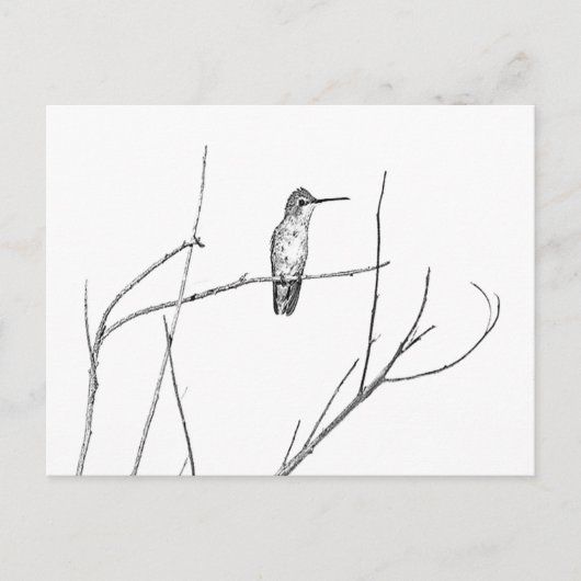 Gewoon een Hummingbird op een stok Briefkaart (Voorkant)