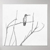 Gewoon een Hummingbird op een stok Poster (Voorkant)