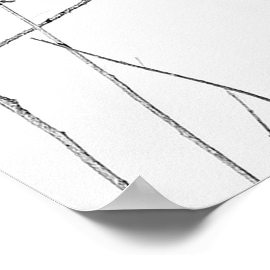 Gewoon een Hummingbird op een stok Poster (Hoek)