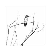 Gewoon een Hummingbird op een stok Rubberstempel (Afrduk)