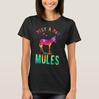 Gewoon Een Jongen Die Ezel Liefheeft Ezel Liefhebb T-shirt