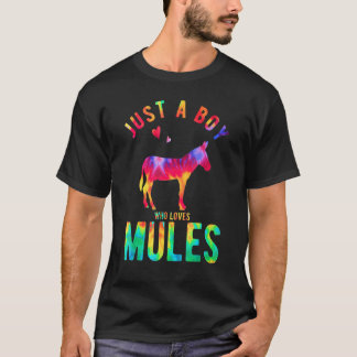 Gewoon Een Jongen Die Ezel Liefheeft Ezel Liefhebb T-shirt