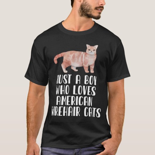 Gewoon een jongen die van Amerikaanse Wirehair Cat T-shirt (Voorkant)