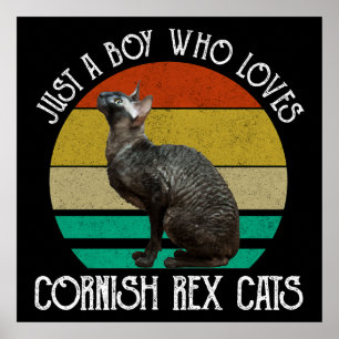Gewoon Een Jongen Die Van Cornish Rex Katten Houdt Poster