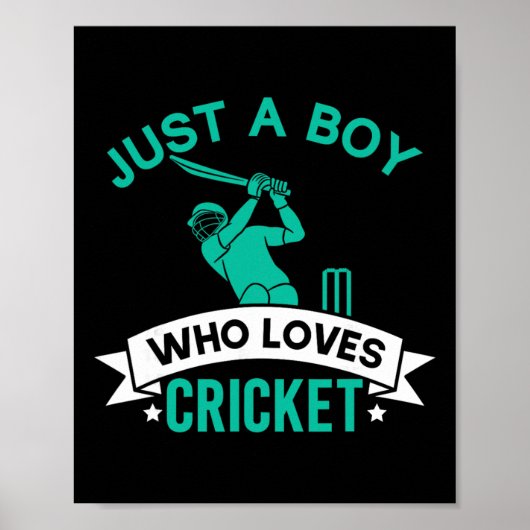 Gewoon een jongen die van cricketspeler houdt, gra poster (Voorkant)