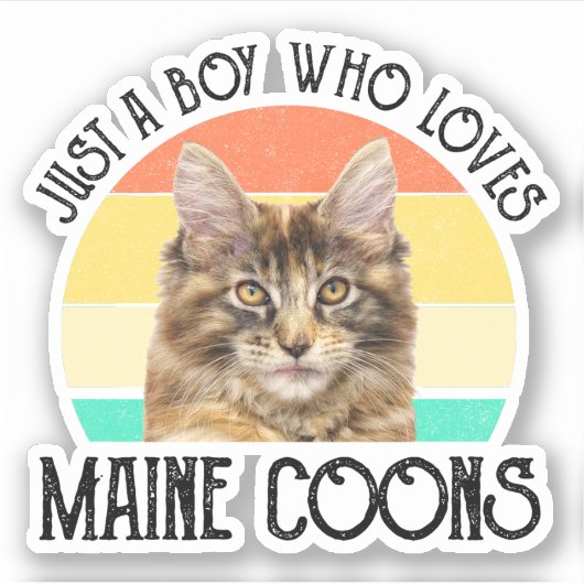 Gewoon een jongen die van Maine Coons houdt Sticker (Voorkant)