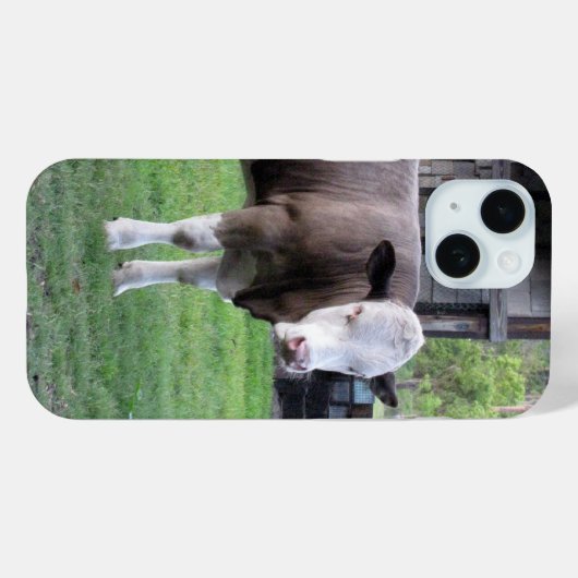 Gewoon een kleine bull-telefoontas Case-Mate iPhone case (Achterkant (horizontaal))