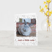 Gewoon een kleine notitie (blanco binnenkaart) kaart (Gele Bloem)