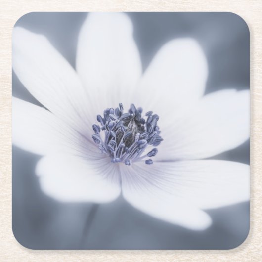 Gewoon een kleine wilde bloem kartonnen onderzetters (Voorkant)