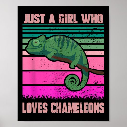 Gewoon een meisje dat van kameleons houdt Grappig  Poster (Voorkant)