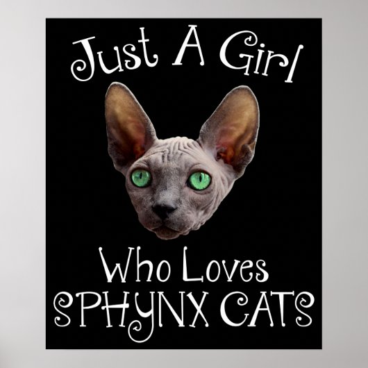 Gewoon een meisje dat van Sphynx houdt Poster (Voorkant)