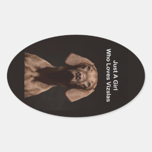 Gewoon een meisje dat van Vizsla's houdt Ovale Sticker