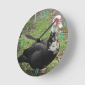 Gewoon een Qwack in Time Ronde Klok (Hoek)