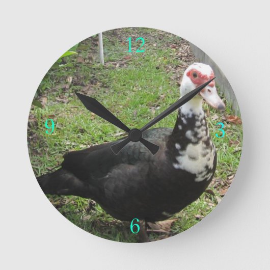 Gewoon een Qwack in Time Ronde Klok (Voorkant)