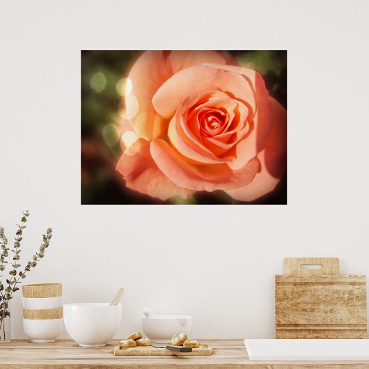Gewoon een roos poster (Keuken)