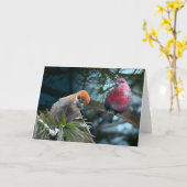 Gewoon even bij je inchecken! Pine Grosbeaks Kaart (Gele Bloem)