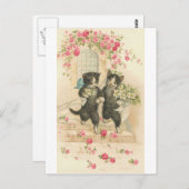 Gewoon gehuwde keuty katten briefkaart (Voorkant / Achterkant)