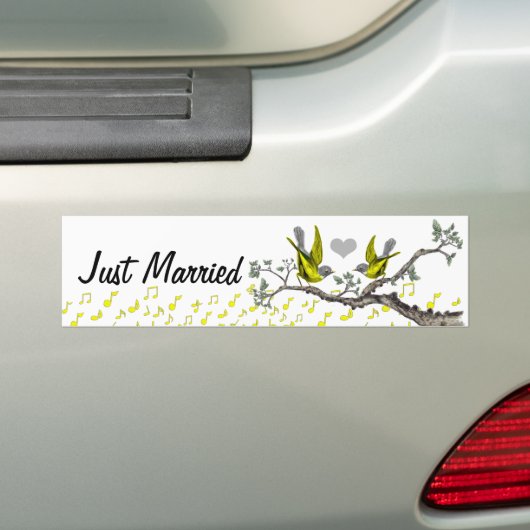 Gewoon gehuwde  vogelborstelaar bumpersticker (Op auto)