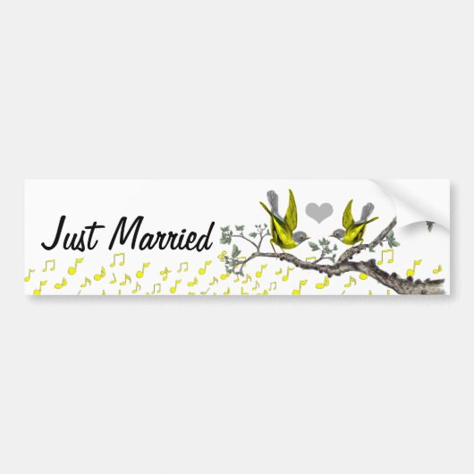 Gewoon gehuwde  vogelborstelaar bumpersticker (Voorkant)