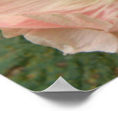 Gewoon geland! Bee op een roze Hollyhock Print (Hoek)