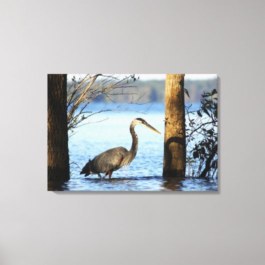 Gewoon gemist - Kerr Lake Canvas Afdruk (Voorkant)
