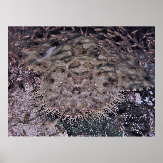 Gewoon gewicht poster (Voorkant)