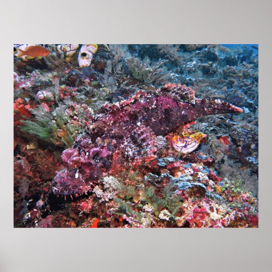 Gewoon gewicht poster (Voorkant)