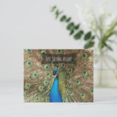 Gewoon Gezegde Hallo Bold Peacock Foto Friendly No Briefkaart (Staand voorkant)