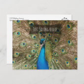 Gewoon Gezegde Hallo Bold Peacock Foto Friendly No Briefkaart (Voorkant / Achterkant)