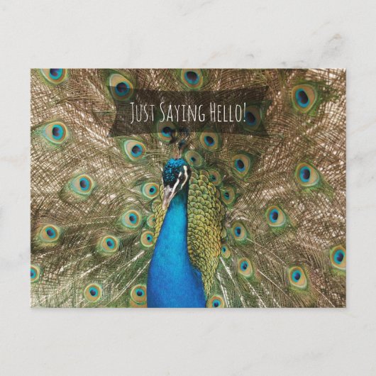 Gewoon Gezegde Hallo Bold Peacock Foto Friendly No Briefkaart (Voorkant)