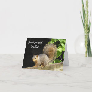 Gewoon Gezegde Hallo, Friendship Cute Squirrels Kaart