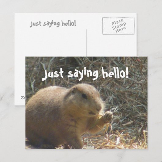 Gewoon gezegde hallo! Prairie Dog Briefkaart