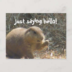Gewoon gezegde hallo! Prairie Dog Briefkaart