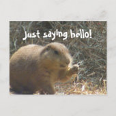 Gewoon gezegde hallo! Prairie Dog Briefkaart (Voorkant)