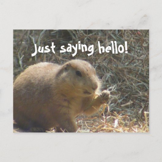 Gewoon gezegde hallo! Prairie Dog Briefkaart (Voorkant)