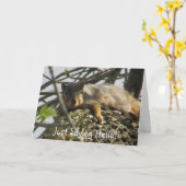 Gewoon Gezegde Hallo Schattigee eekhoorn in Tree K Kaart (Gele Bloem)