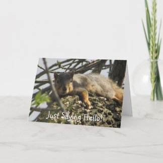 Gewoon Gezegde Hallo Schattigee eekhoorn in Tree K Kaart