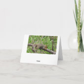 Gewoon Gezegde Hallo, vriendschap Schattigee eekho Kaart (Achterkant)