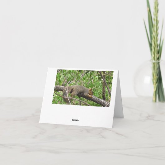 Gewoon Gezegde Hallo, vriendschap Schattigee eekho Kaart (Achterkant)