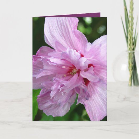 Gewoon Gezegde Hallo Wenskaart Kaart (Voorkant)